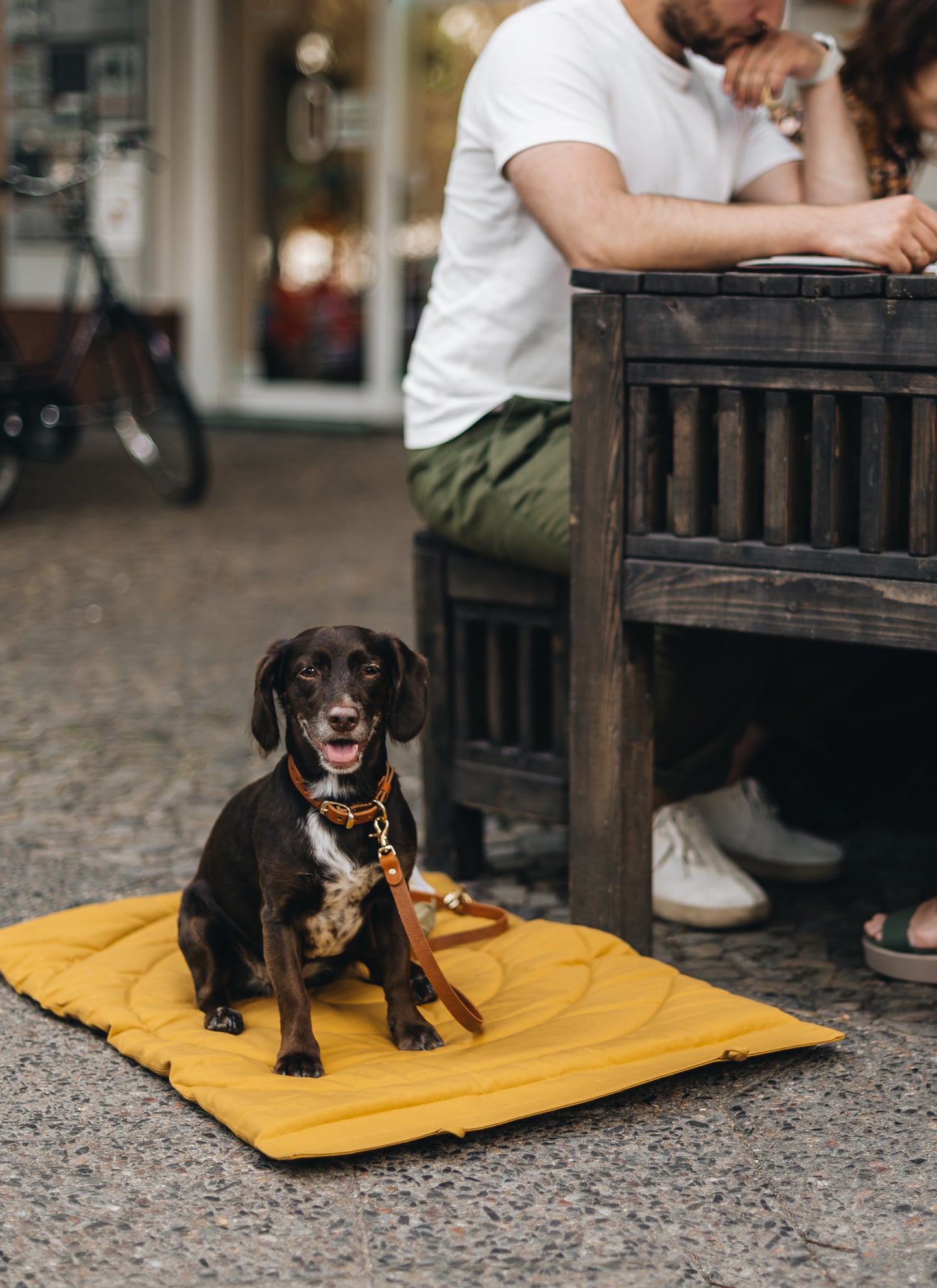 DOG TRAVEL BLANKET. COMPASS