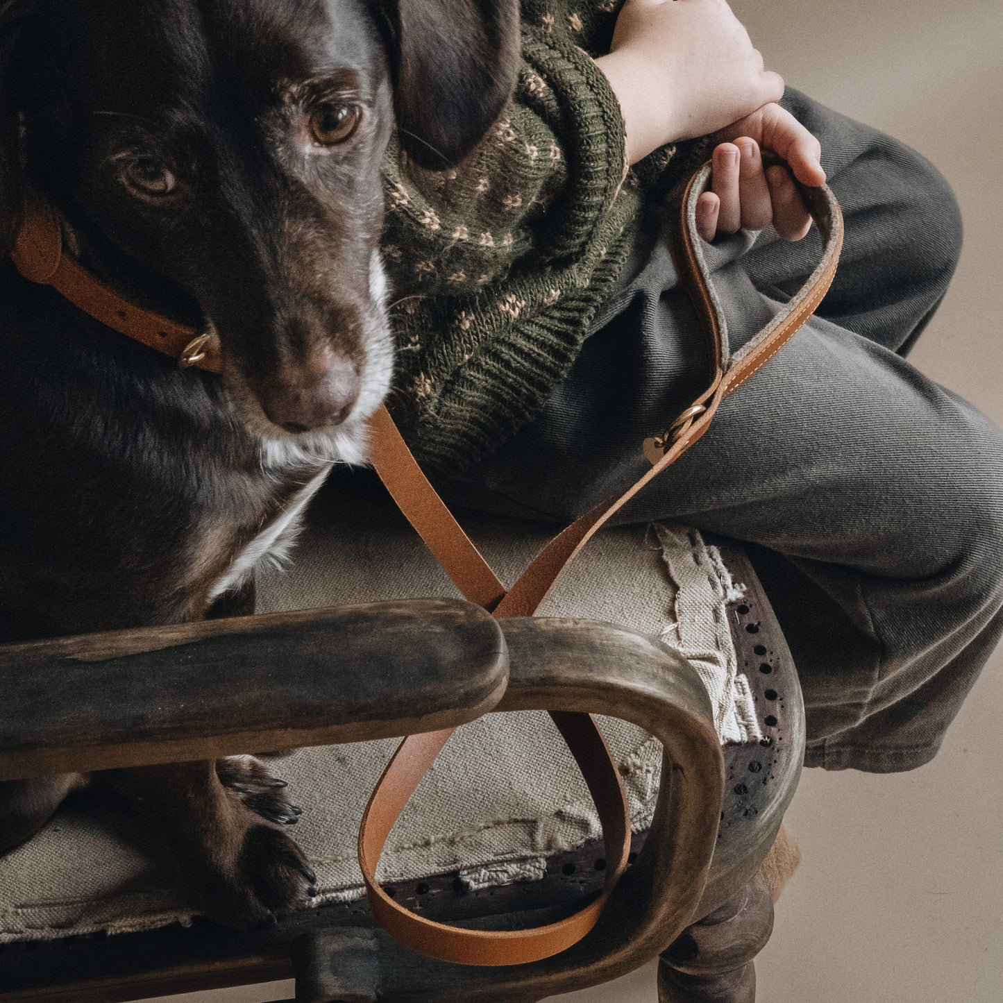 WOOL PADDED SHORT LEATHER LEASH. HITCH