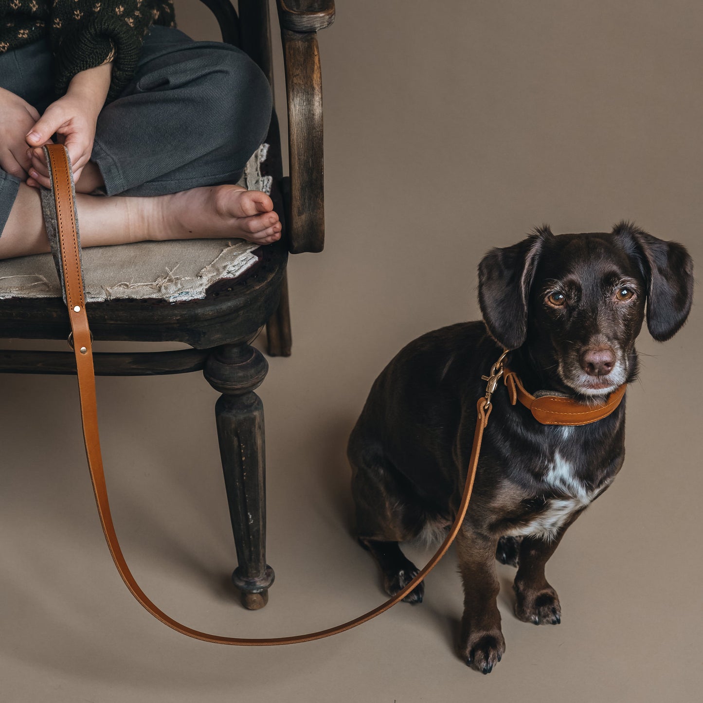 WOOL PADDED SHORT LEATHER LEASH. HITCH