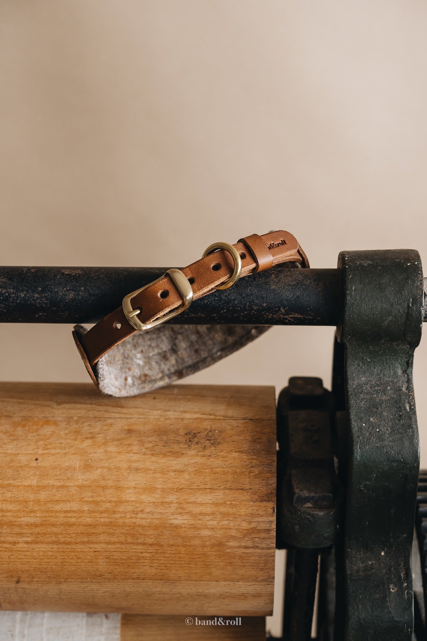 WIDE COLLAR. PINE