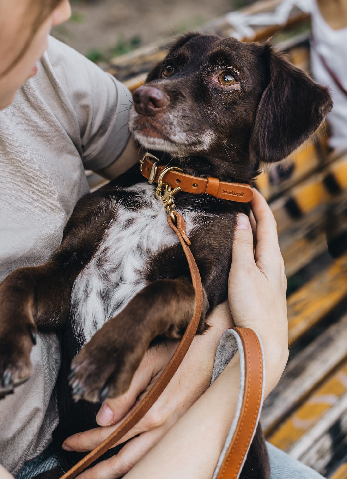 LEATHER DOG COLLAR. FIR air