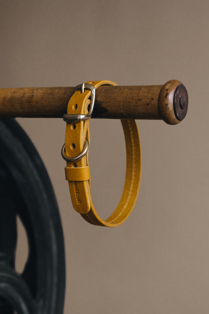 LEATHER DOG COLLAR. FIR Air