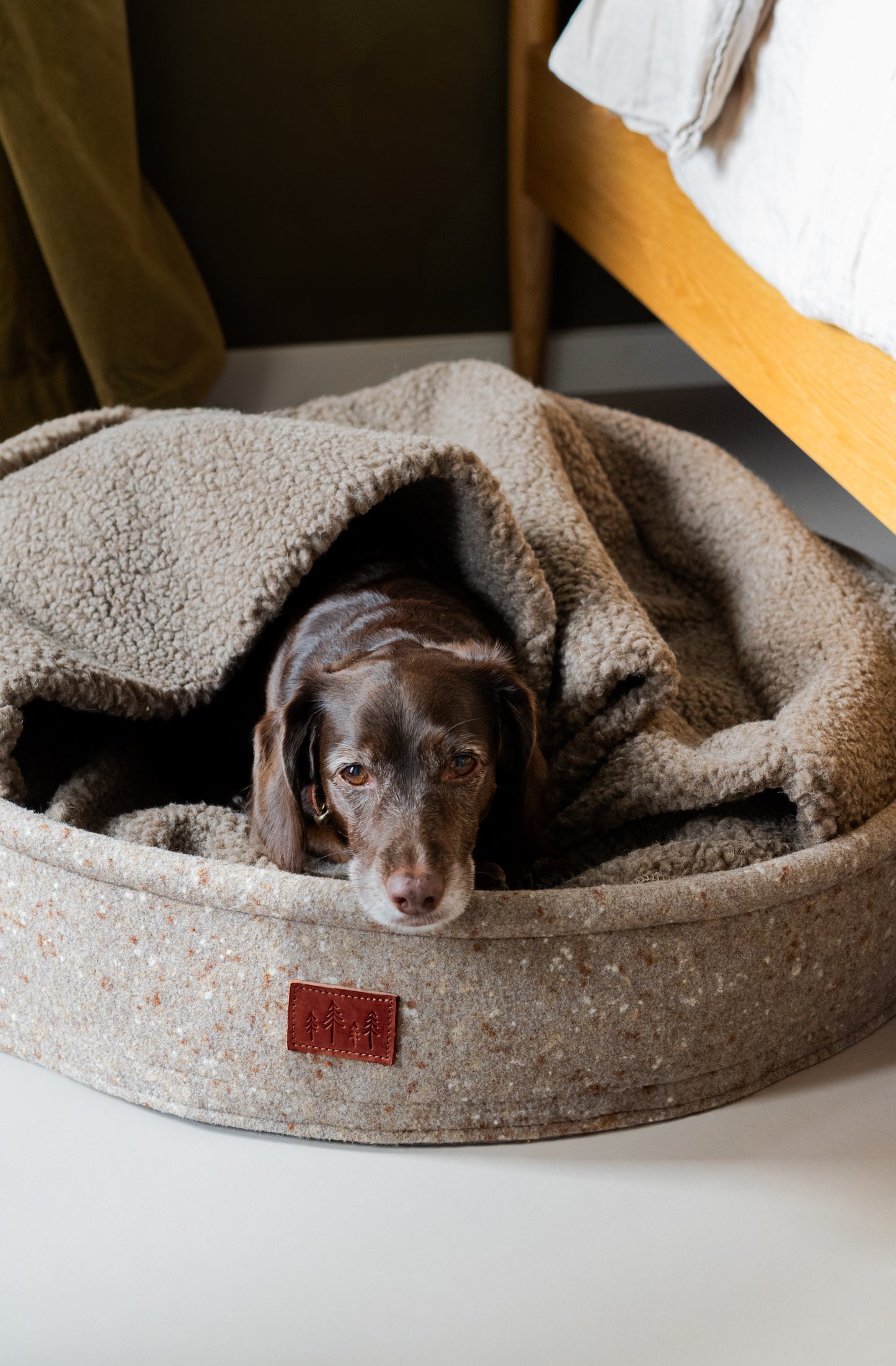 WOOL DOG BED. HAIN