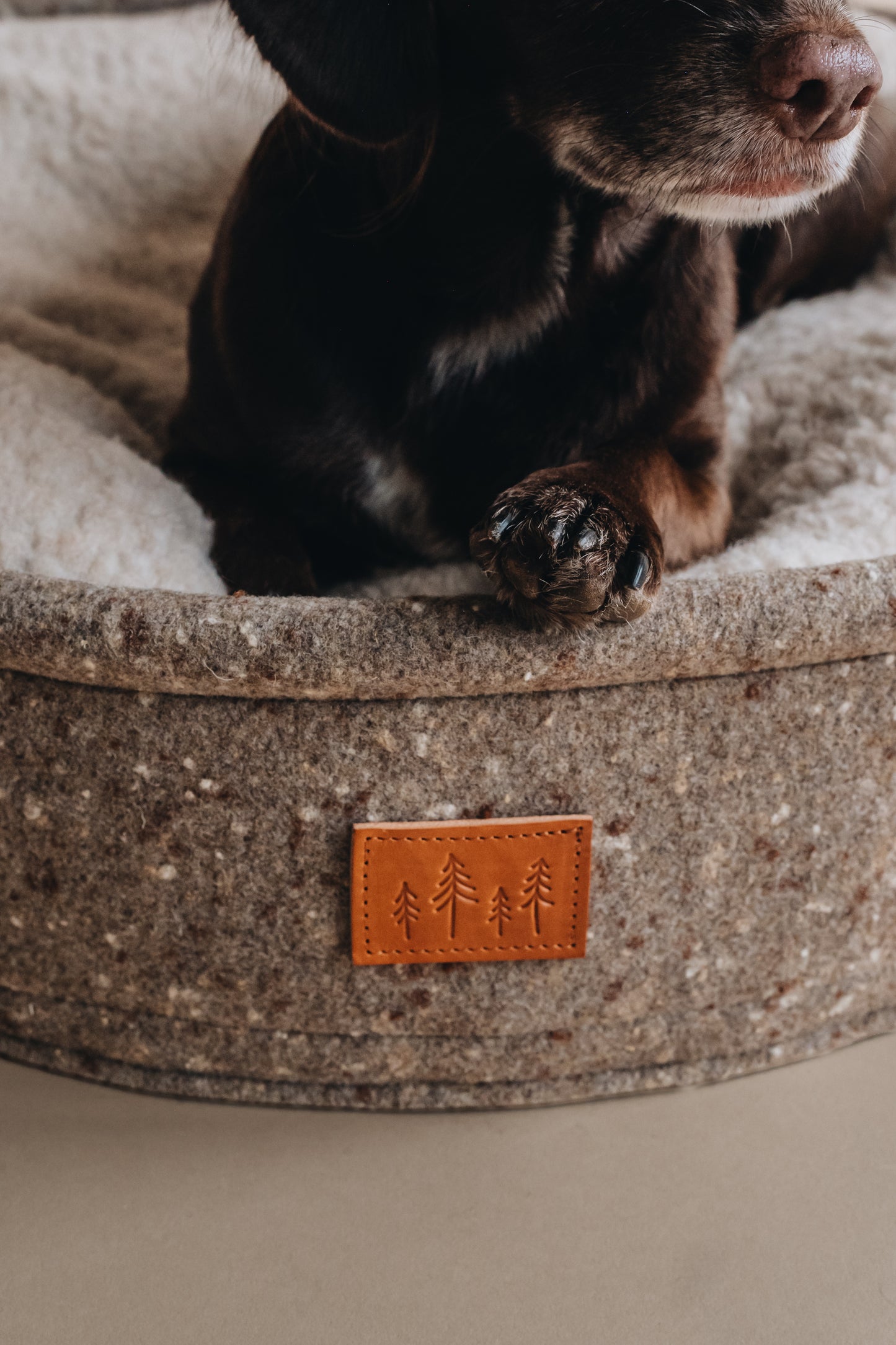WOOL DOG BED. HAIN