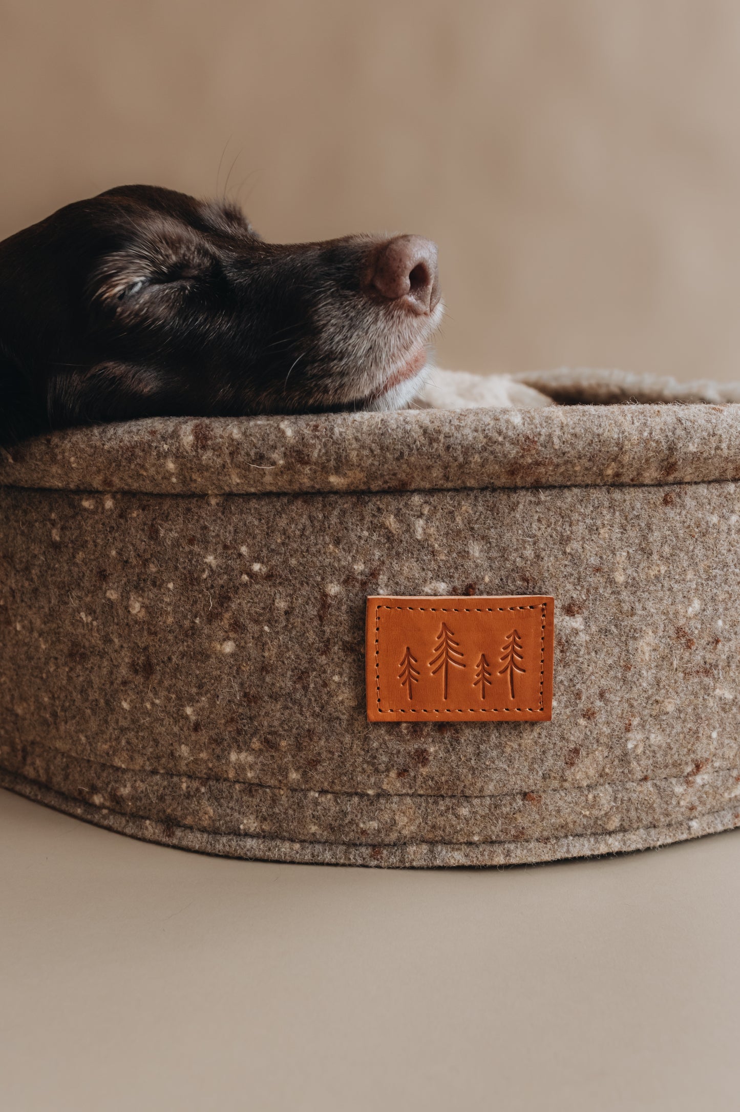 WOOL DOG BED. HAIN