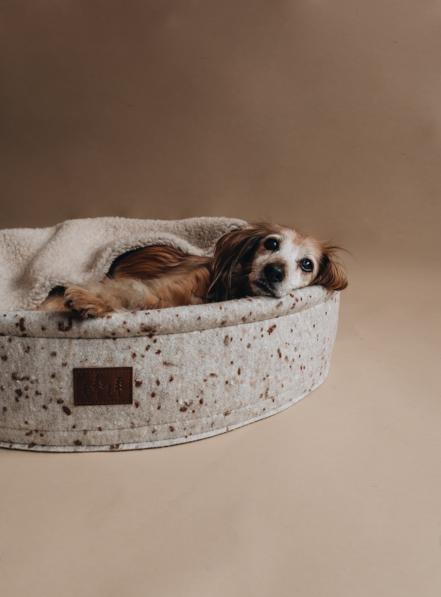 WOOL DOG BED. HAIN