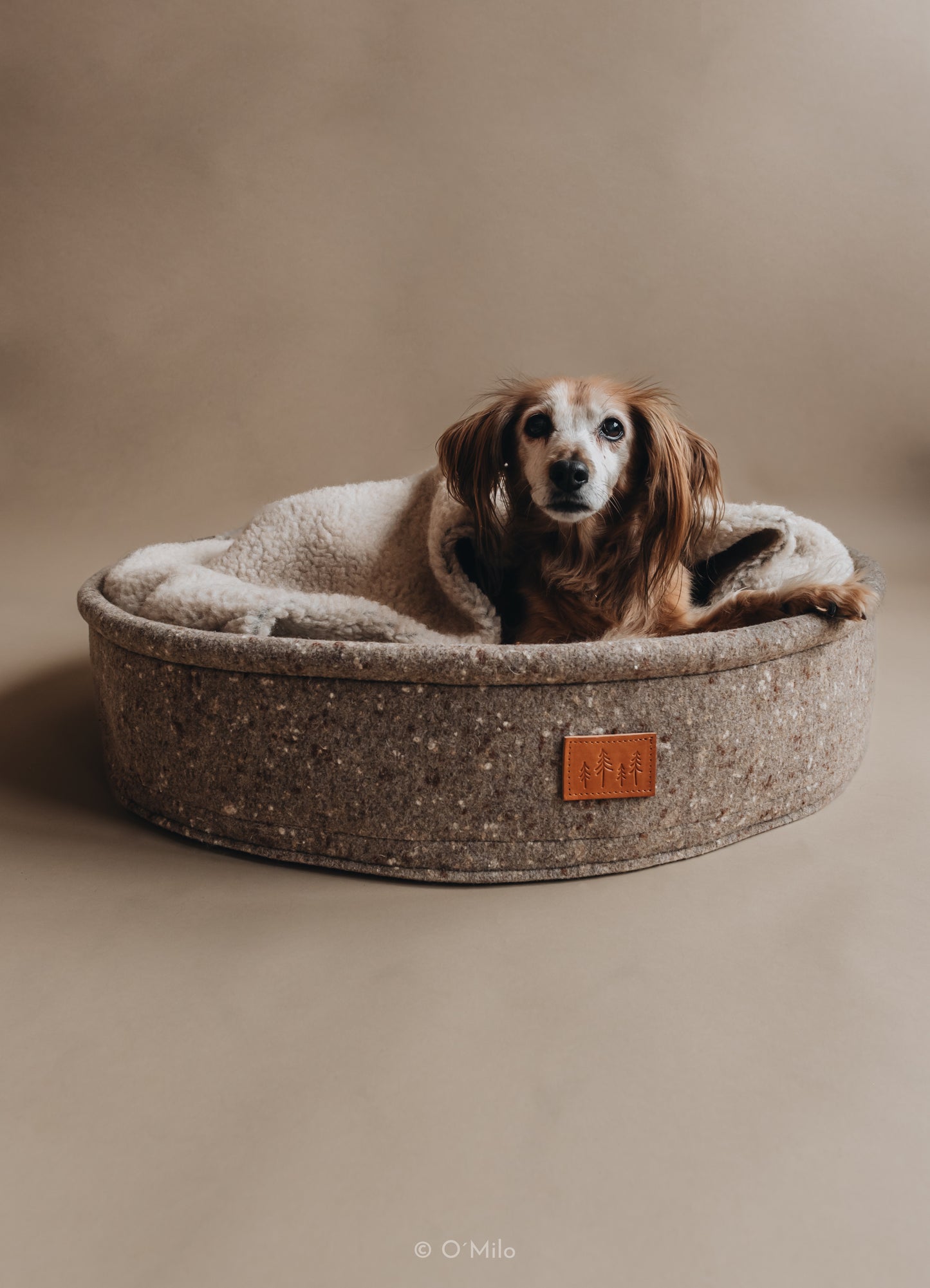 WOOL DOG BED. HAIN
