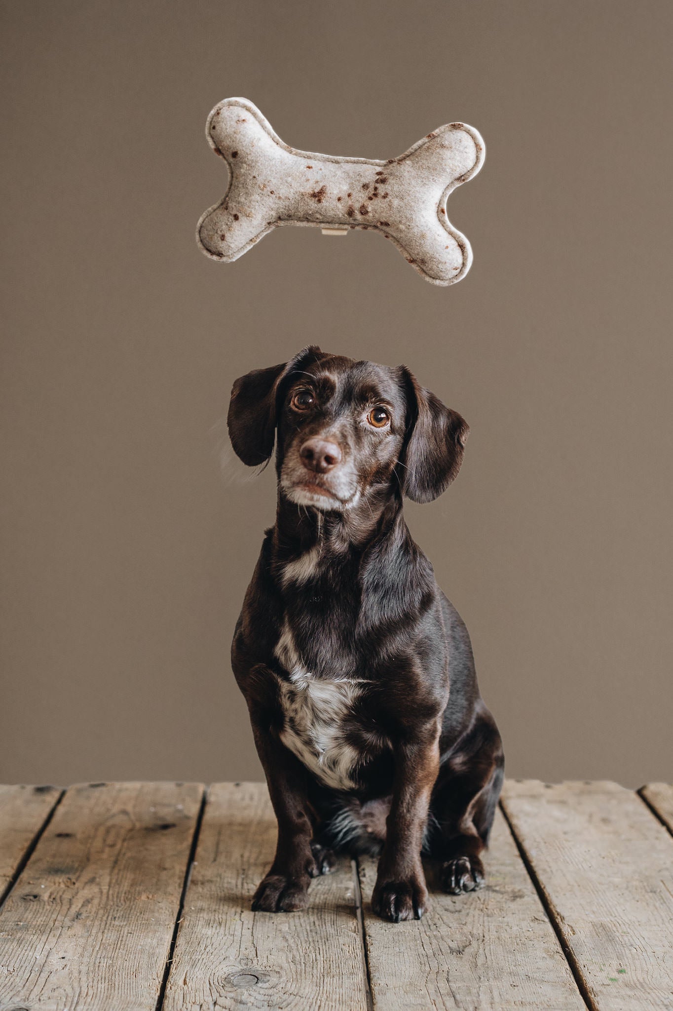 WOOL. DOG TOYS