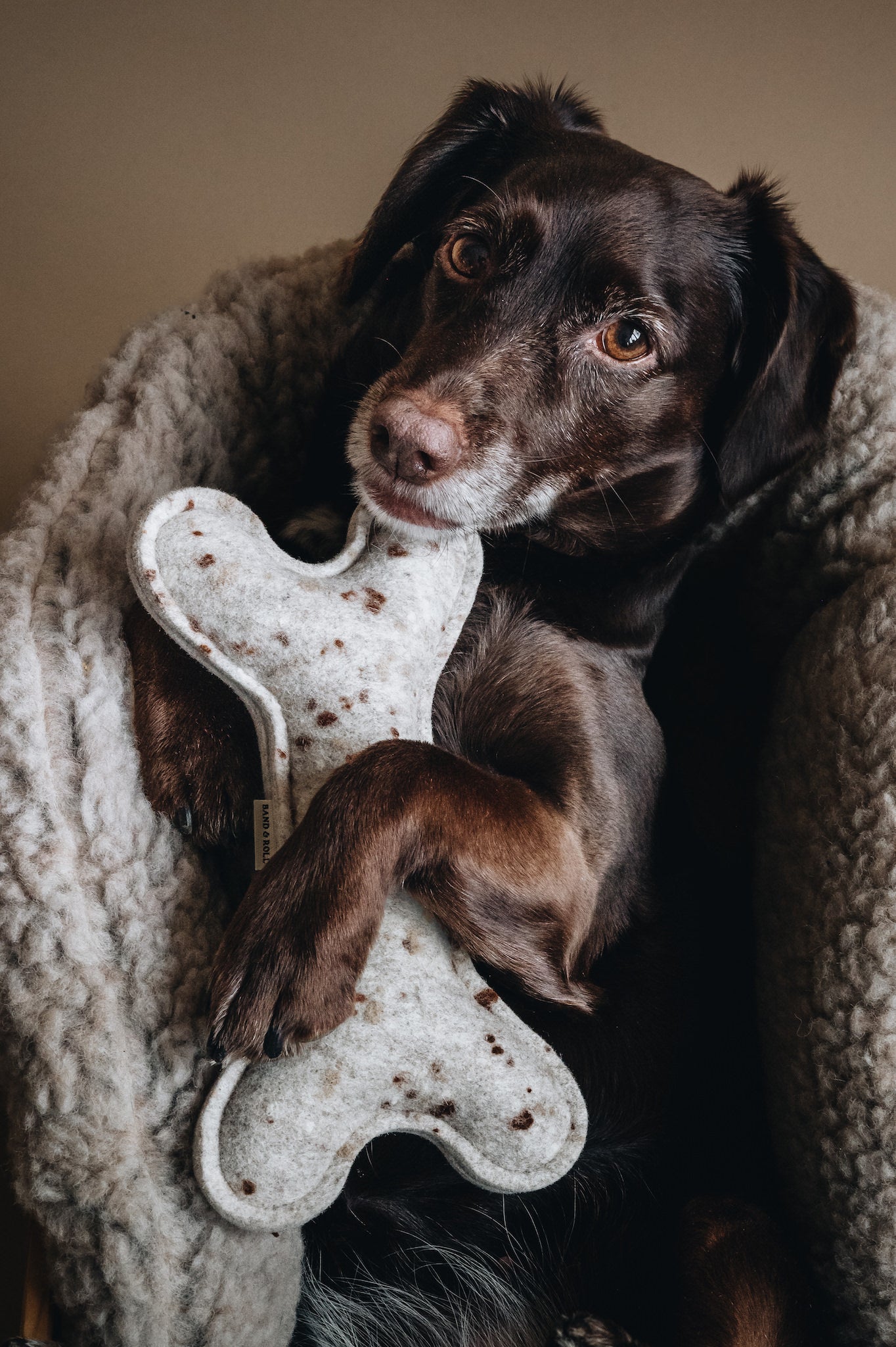 WOOL. DOG TOYS