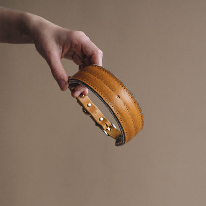 WIDE COLLAR. PINE