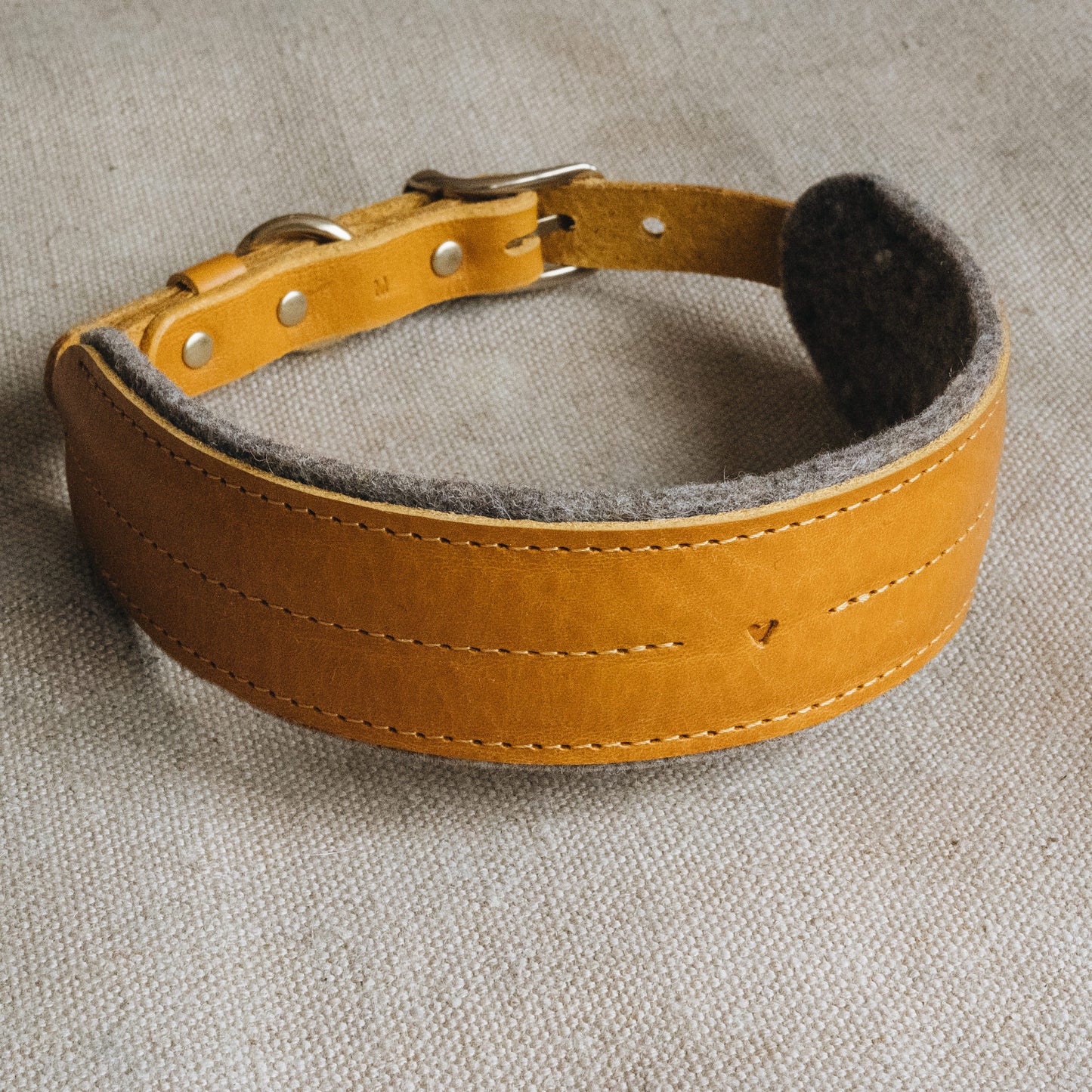 WIDE COLLAR. PINE