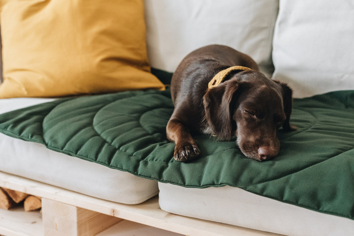 DOG TRAVEL BLANKET. COMPASS