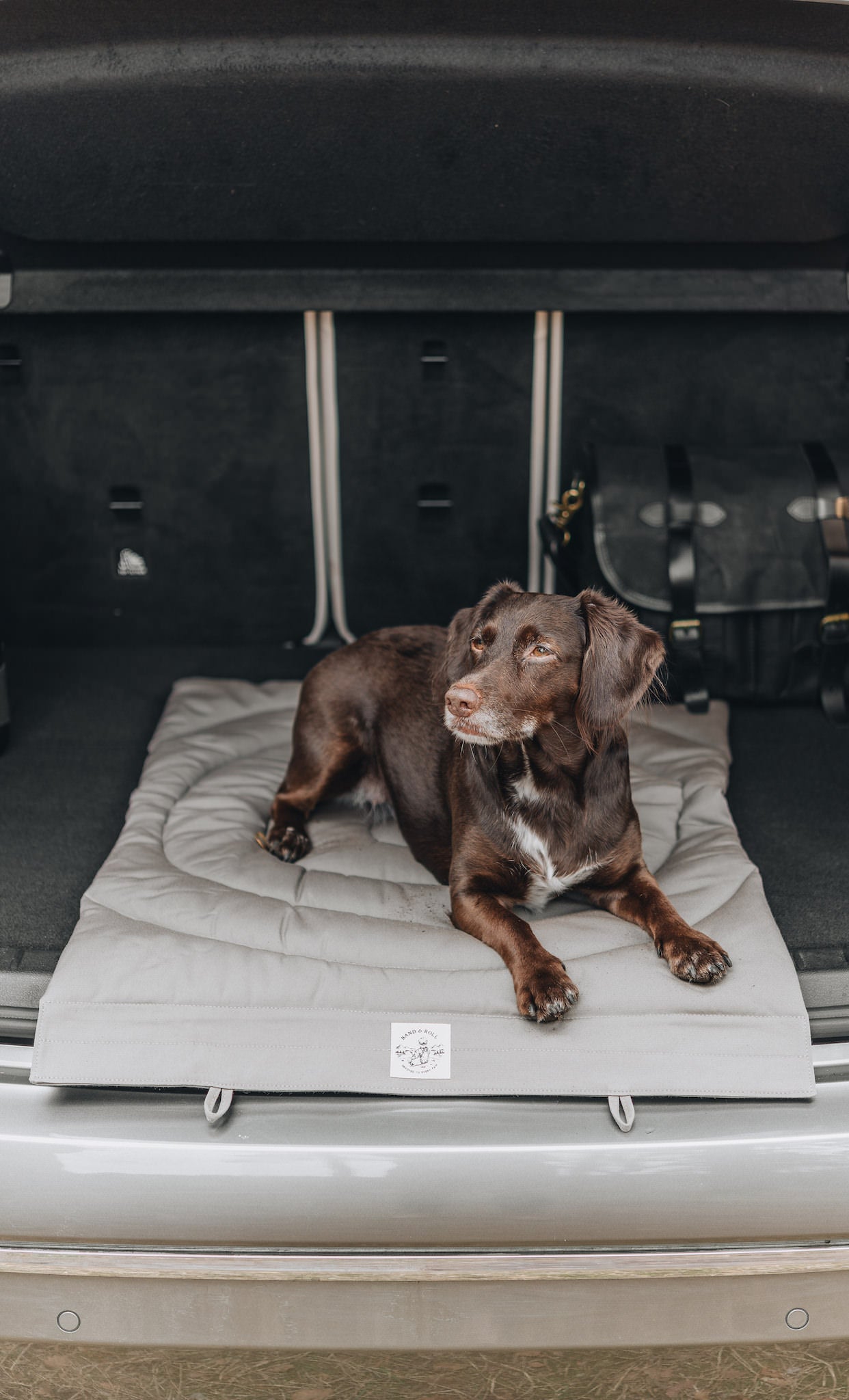 DOG TRAVEL BLANKET. COMPASS