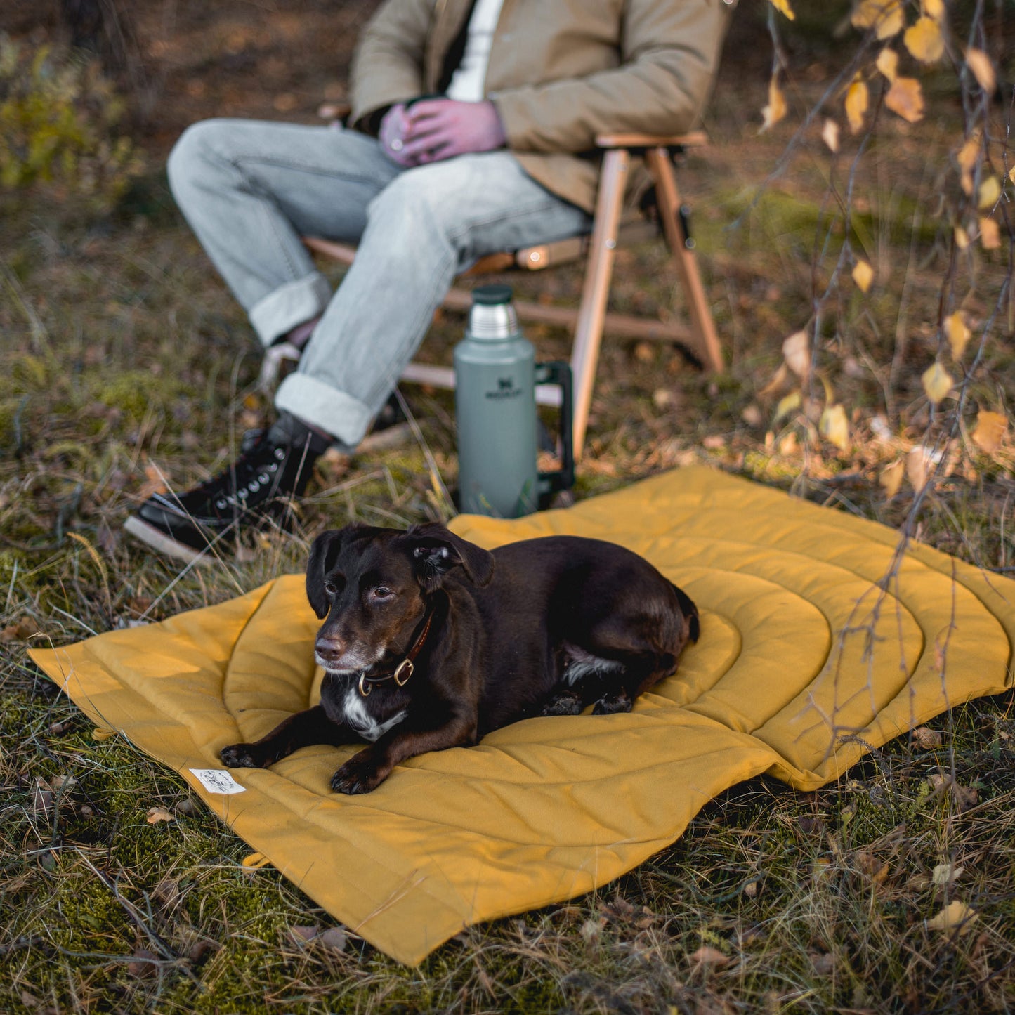 DOG TRAVEL BLANKET. COMPASS