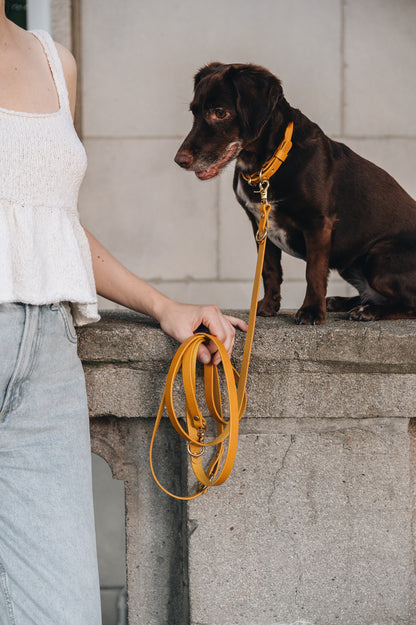 CROSSBODY LEATHER LEASH. LASSO AIR